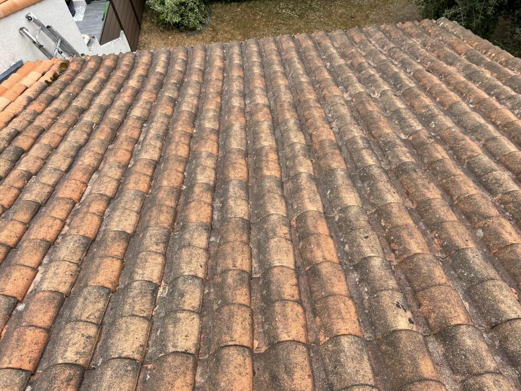 Toiture avec mousse avant traitement